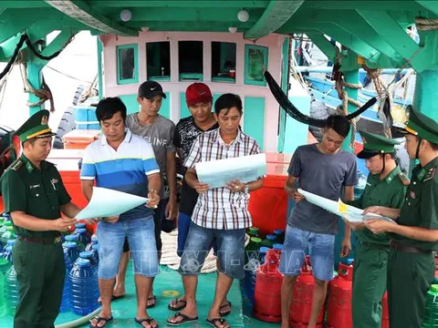 Bổ sung quy định về cơ sở đào tạo, bồi dưỡng thuyền viên tàu cá