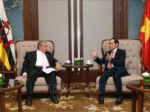 Việt Nam - Brunei hợp tác chắt chẽ trong triển khai thỏa thuận giữa hai nước
