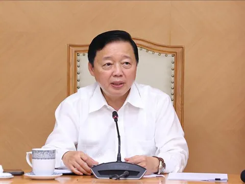 Luật hóa hoạt động xe 4 bánh chạy bằng điện chở khách du lịch