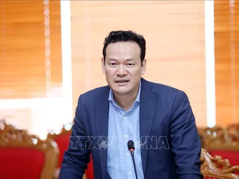 Việt Nam mong muốn đóng góp nhiều hơn vào thúc đẩy hòa bình, phát triển