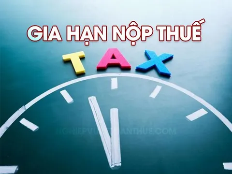 Đề nghị gia hạn thời hạn nộp thuế năm 2024