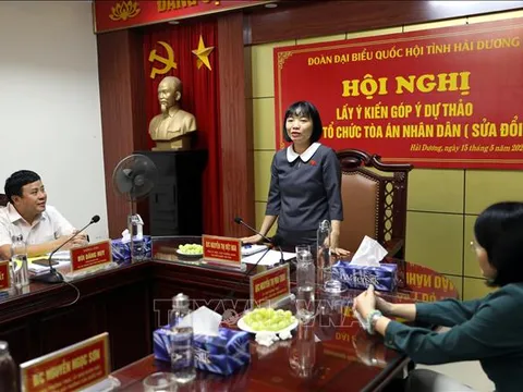 Lấy ý kiến góp ý Dự thảo Luật Tổ chức Tòa án nhân dân (sửa đổi)