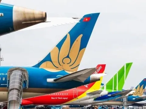 Tít mù giá vé máy bay