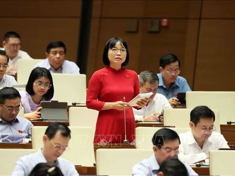 Thực hiện quyết liệt các biện pháp ngăn chặn tình trạng lừa đảo trực tuyến