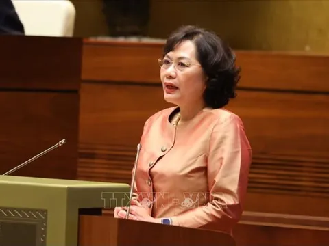 Đảm bảo nguồn ngoại tệ để doanh nghiệp nhập khẩu, phục vụ sản xuất trong nước