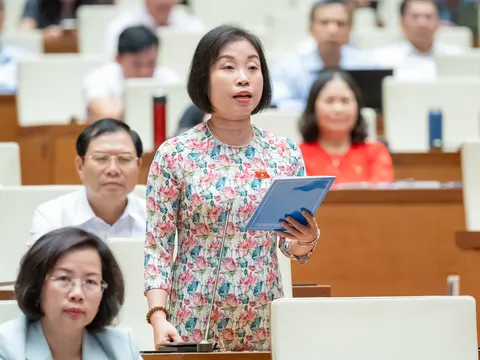 Cam kết chống hàng giả trong thương mại điện tử có hiệu quả?