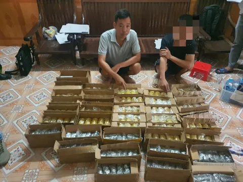 Bắt đối tượng vận chuyển trái phép hơn 1 tấn đạn chì và nhiều vũ khí, vật liệu nổ