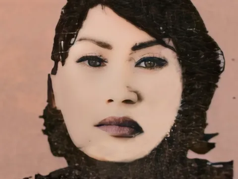 Hà Nội: Truy tìm người phụ nữ lừa đảo thuê xe tự lái