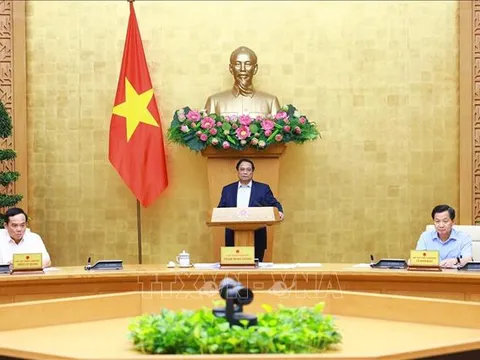 Thủ tướng Chính phủ phân công nhiệm vụ các Phó Thủ tướng