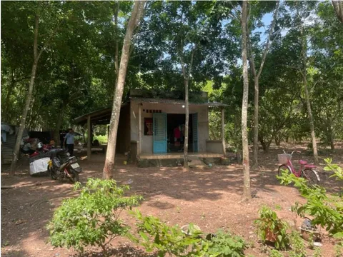 Truy tìm kẻ đột nhập vào nhà hiếp dâm bé gái 10 tuổi rồi cướp tài sản