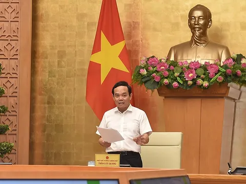 Hội đồng thẩm định thông qua Quy hoạch lâm nghiệp quốc gia