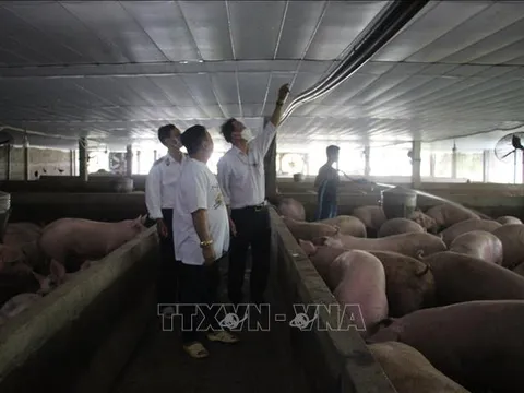 Áp dụng biện pháp vệ sinh dịch tễ, kiểm dịch động, thực vật theo tiêu chuẩn quốc tế