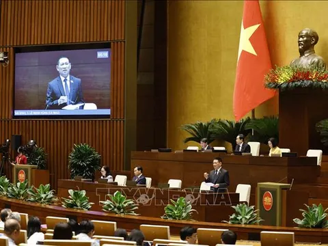 Đánh giá kỹ tác động khi áp dụng thuế giá trị gia tăng 5% đối với phân bón