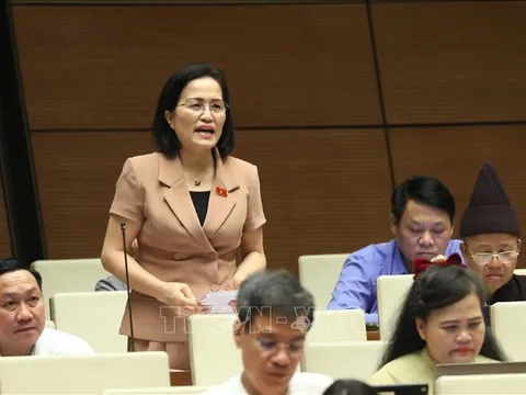 Định giá quyền khai thác khoáng sản, tránh thất thoát tài sản của nhà nước