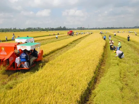 Đề nghị tiếp tục miễn thuế sử dụng đất nông nghiệp đến 31/12/2030