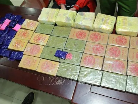 Lập Hội đồng thẩm định Báo cáo đề xuất Chương trình mục tiêu quốc gia phòng, chống ma túy