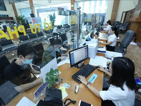 Cắt giảm 50% quy định về kinh doanh lĩnh vực lưu trữ