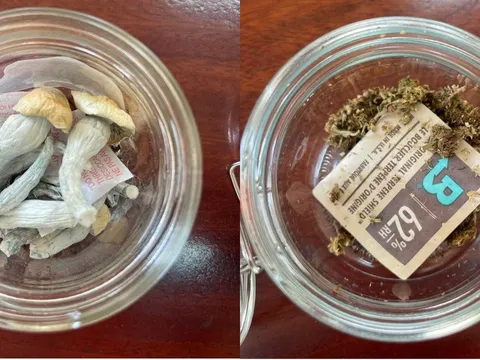 Bắt đối tượng bán ma túy dạng nấm cực nguy hiểm ở Quảng Ninh