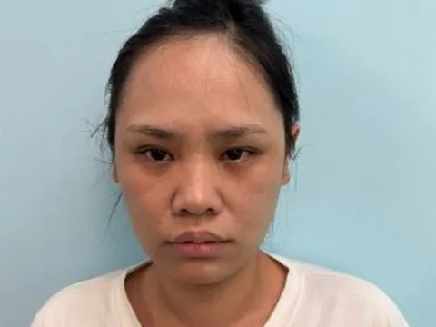 Hà Nội: Khởi tố cô gái lấy trộm tài sản trong két sắt của chị họ