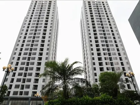 Xây dựng cơ sở dữ liệu nhà ở và thị trường bất động sản