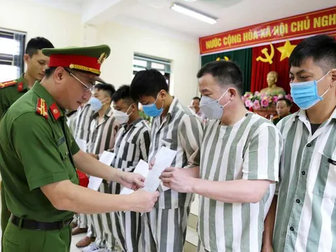 Hướng dẫn triển khai đặc xá năm 2024