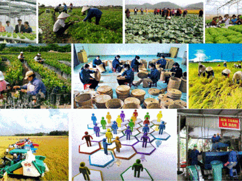 Nghiên cứu hoàn thiện phương pháp biên soạn số liệu GDP kinh tế tập thể