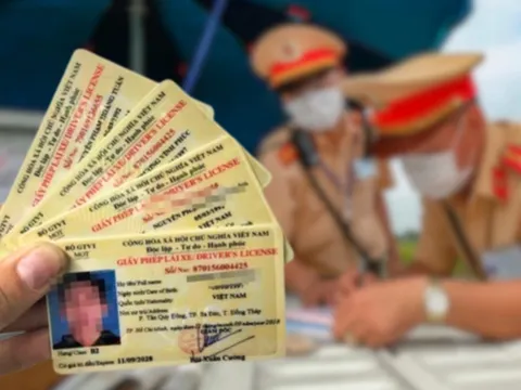 Đề xuất phạt tới 12 triệu đồng khi sử dụng giấy phép lái xe đã bị trừ hết điểm