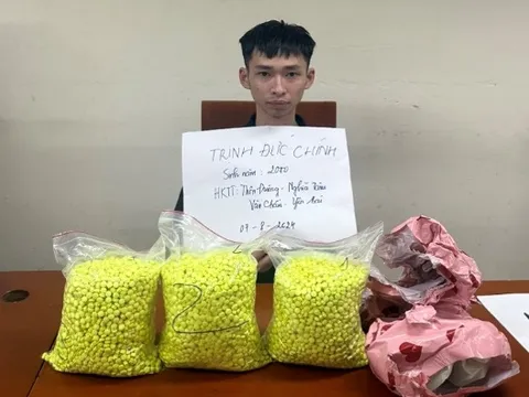 Hà Nội: Triệt phá đường dây vận chuyển, mua bán trái phép 15.000 viên ma tuý tổng hợp