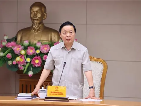 Không để sót hành vi và đối tượng vi phạm về đất đai