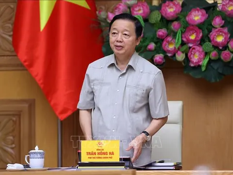 Thiết kế cơ chế, chính sách bảo vệ môi trường từ sớm, từ xa