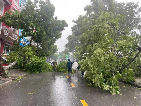Bão số 3 đã làm 4 người thiệt mạng, nhiều tỉnh mất điện, hàng nghìn cây xanh bị đổ