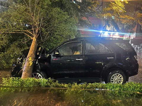 Cảnh sát giao thông Hà Nội giải cứu kịp thời 1 lái xe bị cây đổ trên Đường Láng