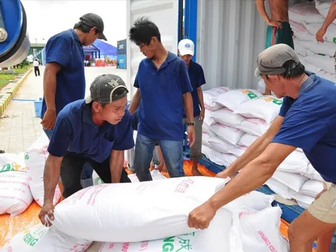 Xuất cấp 200 tấn gạo hỗ trợ các địa phương bị ảnh hưởng do bão số 3