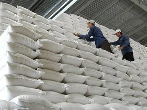 Bộ Tài chính trình hỗ trợ khẩn cấp cho Yên Bái và Lào Cai khắc phục thiệt hại do bão Yagi