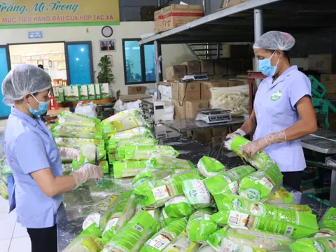 Hợp tác xã, liên hiệp hợp tác xã được thành lập doanh nghiệp khi đáp ứng các điều kiện gì