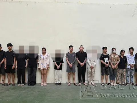 Phá đường dây chiếm đoạt tài sản trên không gian mạng dưới hình thức lừa đầu tư