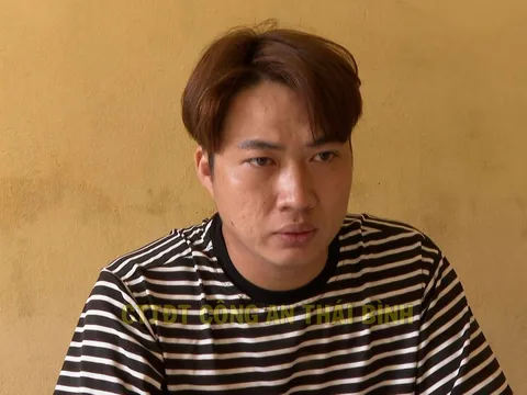 Thái Bình: Khởi tố đối tượng chuyên trộm cắp đồ thờ tự