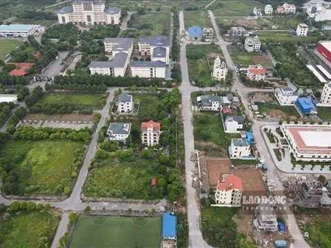 Những trường hợp được áp dụng giá đất cụ thể theo Luật Đất đai 2024