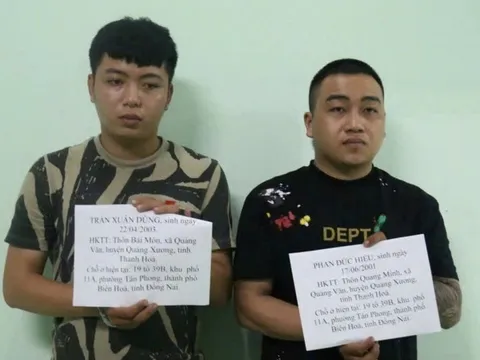 Bình Dương: Tạm giữ 2 thanh niên tạt sơn, chất bẩn để đòi nợ