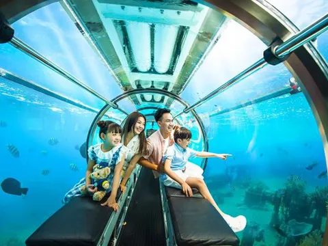 Gia hạn thời gian thí điểm hoạt động dịch vụ tàu lặn tại vịnh Nha Trang