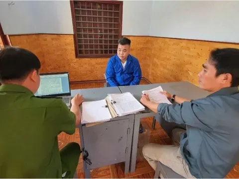 Bắt tạm giam Tổng Giám đốc Công ty AVS Đắk Lắk