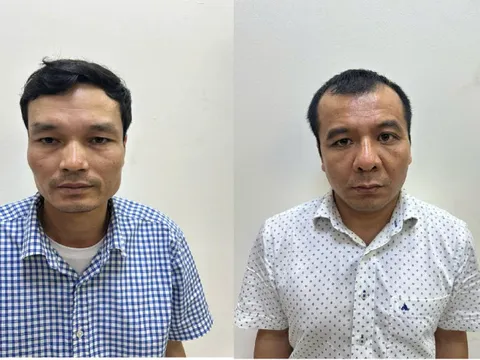 Khởi tố, bắt tạm giam Phó Tổng Giám đốc Công ty Cổ phần xi măng Hạ Long