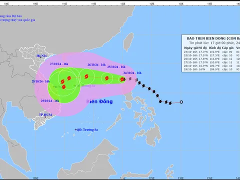 Thủ tướng Chính phủ ban hành Công điện chủ động ứng phó bão TRAMI
