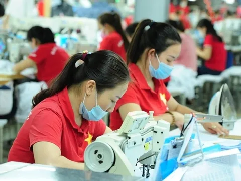 Đề xuất sử dụng kinh phí hỗ trợ doanh nghiệp khu vực tư nhân kinh doanh bền vững