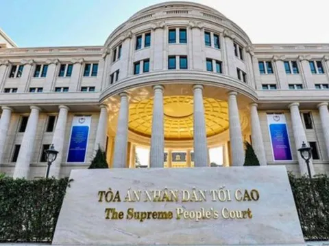 Đề xuất tổ chức bộ máy, nhiệm vụ, quyền hạn của các đơn vị thuộc Tòa án nhân dân tối cao
