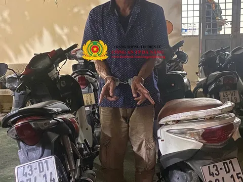 Triệt phá đường dây chuyên trộm cắp, tiêu thụ xe gian