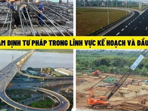 Đề xuất tiêu chuẩn, thủ tục bổ nhiệm giám định viên tư pháp lĩnh vực kế hoạch và đầu tư