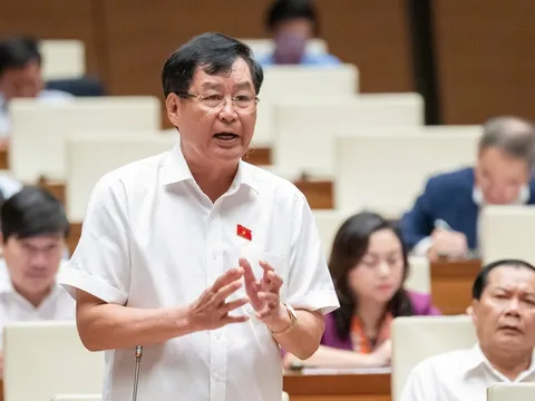 ĐBQH nêu lý do cần đánh giá ý nghĩa, vai trò của tài sản, vật chứng đối với vụ án