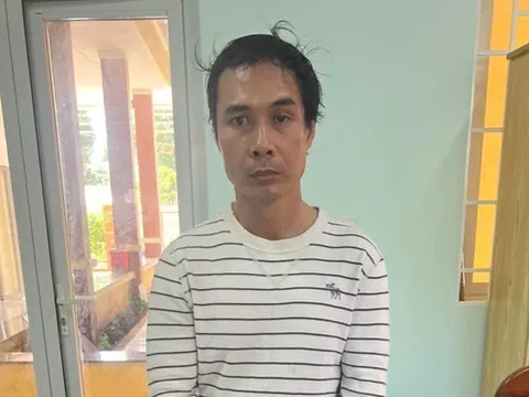 Tạm giữ hình sự đối tượng lừa đảo chiếm đoạt tài sản ở Đồng Nai