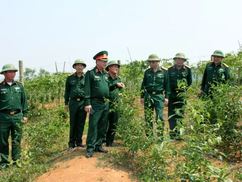 Hướng dẫn hỗ trợ tài chính đối với Đoàn kinh tế - quốc phòng